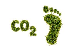 Carbon Footprint